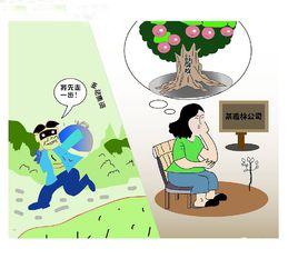 江蘇泗洪集資案 江蘇泗洪集資案