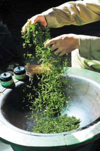 九嶷香風 九嶷香風