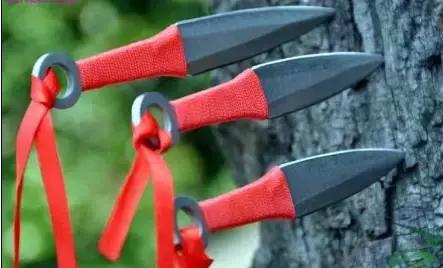 殺人於無形-中日暗器大揭密 殺人於無形-中日暗器大揭密