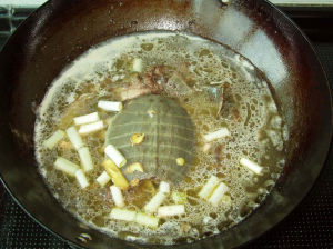 鱉肉滋陰補湯 鱉肉滋陰補湯