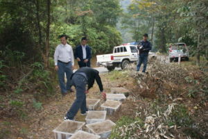 廣東和平黃石坳省級自然保護區 廣東和平黃石坳省級自然保護區