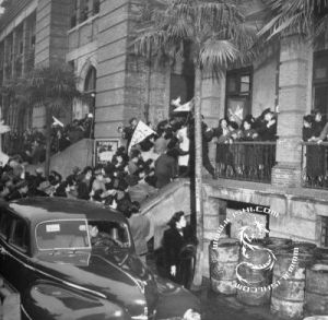 上海舞女風潮案