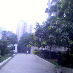 華西庭園 華西庭園