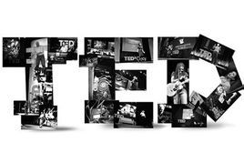 Ted[美國的一家私有非盈利機構]