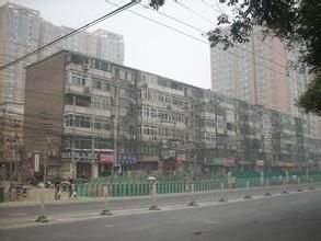 網子營社區 網子營社區