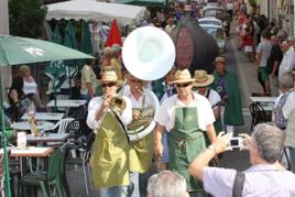 紫色索萊斯 紫色索萊斯