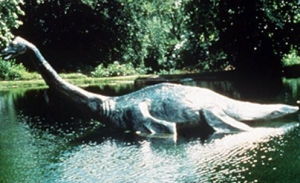 鞠躬尼斯 鞠躬尼斯