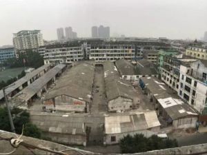 金釵河村 金釵河村