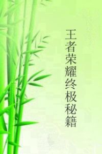 王者榮耀終極秘籍 王者榮耀終極秘籍