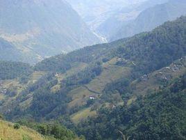 龍家山村 龍家山村