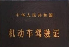 b1駕駛證 b1駕駛證