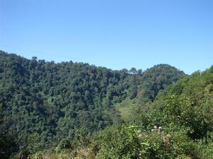 汪家營村自然資源－山林