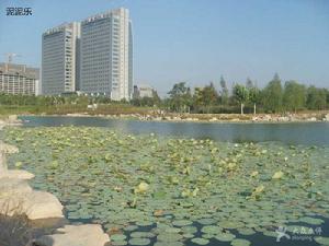 博大公園 博大公園