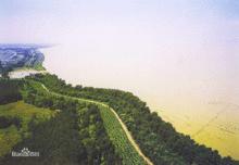 楚州[江蘇省淮安市的古稱]