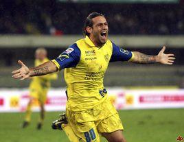 莫斯卡德利 莫斯卡德利