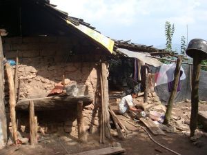 肖家箐村 肖家箐村