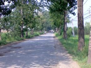 皇后店村 皇后店村