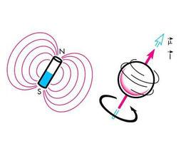 粒子的自旋 粒子的自旋