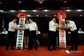 東柳街道[達州市大竹縣]