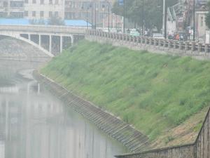 生態砼護坡 生態砼護坡