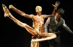 馮·哈根斯生物塑化(大連)有限公司 馮·哈根斯生物塑化(大連)有限公司