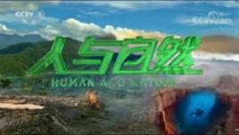 人與自然[中國中央電視台科教自然類節目]