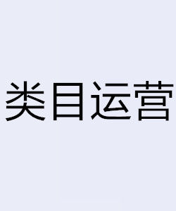 類目運營