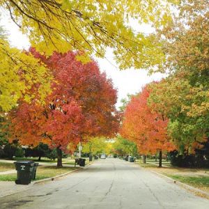 上班街區 上班街區