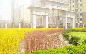 龍泉莊園 龍泉莊園