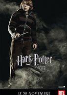 哈利&middot;波特與火焰杯[英美2005年邁克&middot;紐維執導電影]