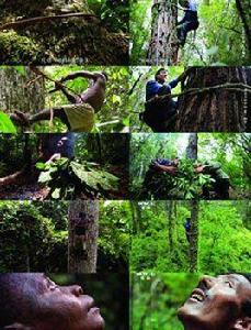 舌尖2造假風波 舌尖2造假風波