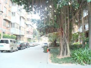 利安花園 利安花園