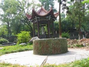 《新唐書·陸羽傳》