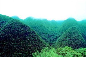 茂蘭原始保護森林