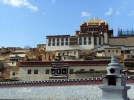 香格里拉松贊林寺 香格里拉松贊林寺
