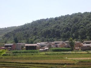 何家小箐自然村