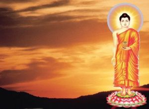 五種大師功德 五種大師功德