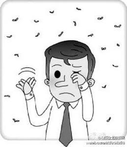 眼睛飛蚊症 眼睛飛蚊症