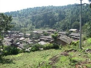 朵把朵村 朵把朵村