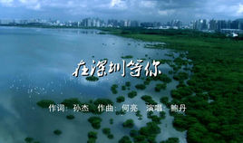 在深圳等你 在深圳等你