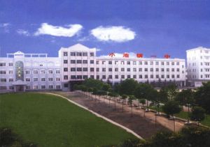 黃梅縣小池鎮第一中學 黃梅縣小池鎮第一中學