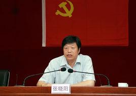 張曉陽[鄭州航空工業管理學院副教授]