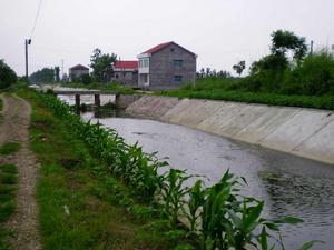白塘村[湖南澧縣城頭山鎮下轄村]