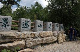 景邁山普洱茶 景邁山普洱茶