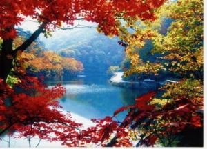 平頂山森林公園 平頂山森林公園