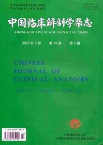 中國臨床解剖學雜誌 中國臨床解剖學雜誌