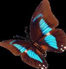 《蛹變》 《蛹變》