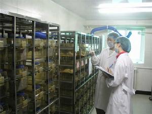 線上同位素分離器