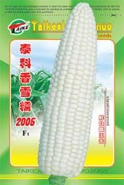 泰科香雪糯 泰科香雪糯