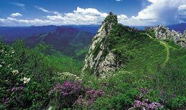 甘肅省臨潭縣蓮花山 甘肅省臨潭縣蓮花山